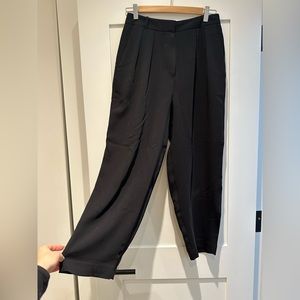 Aritzia Babaton Pleated Dress Pants